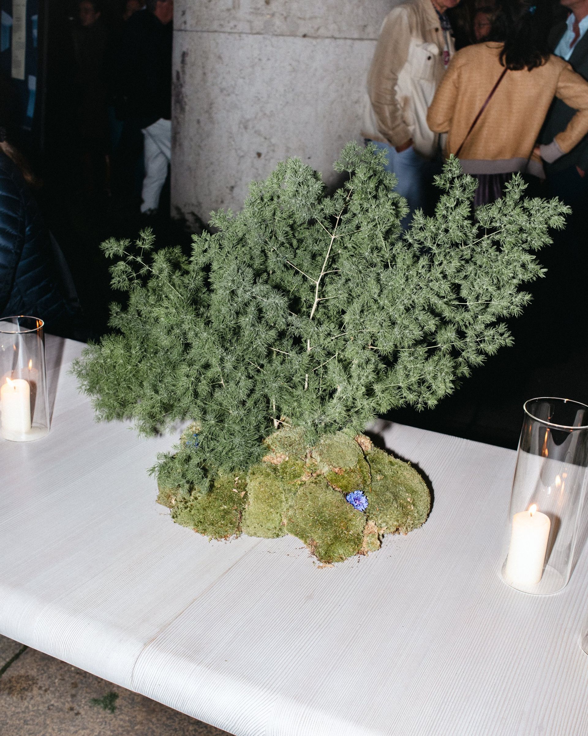 vo_season_kickoff_pablo_lauf_web-3
